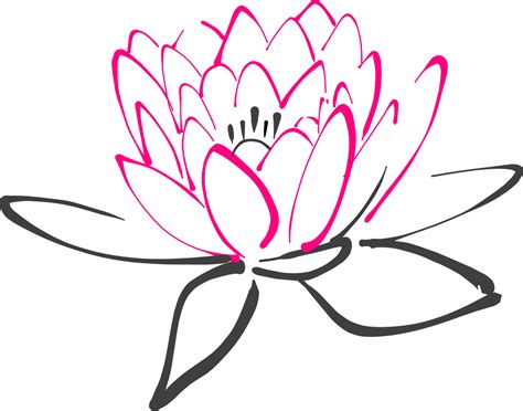 Water Lily Transparent Background Png Play