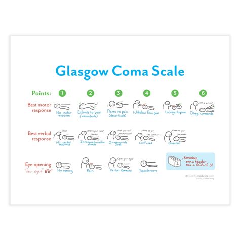 Glasgow Coma Scale Gcs Print Home Fine Art Print Sketchy Medicine Shop