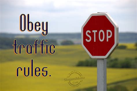 Obey Traffic Rules