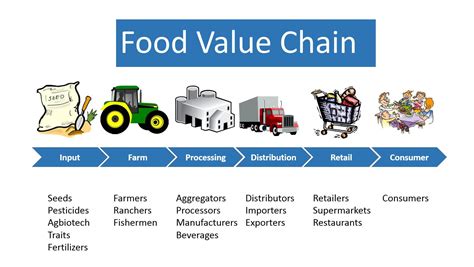Food Value Chain
