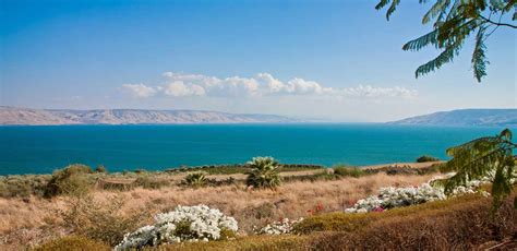 The Best Sea Of Galilee Tours 2023 Free Cancellation Getyourguide