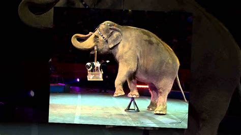 The Greatest Show On Earth Photos Of Ringling Brothers Barnum Bailey Circus Youtube