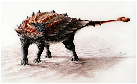 These spikes are believed to have been a defensive measure against predators. Spiked Armoured Dinosaur 'Ziapelta' Discovered In New ...