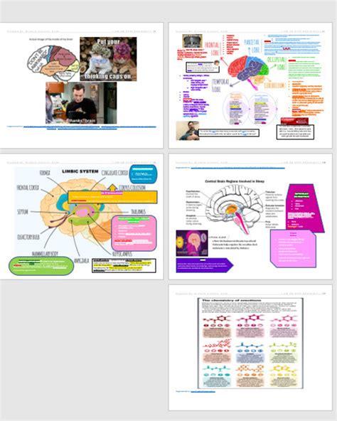 Eppp Visual Aid And Mnemonic Supplemental Packet To Supplement Etsy