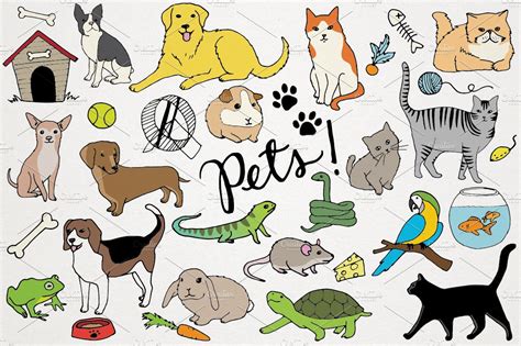 Animals And Pets Illustrations Animal Illustrations Creative Market