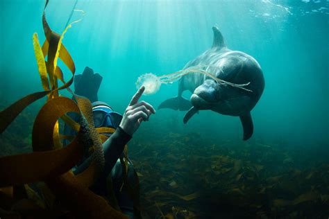 10 Underwater Photos That Show The Wonder Of The Ocean Oversixty