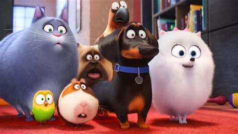 Teaser Trailer For The Secret Life Of Pets Animated Movie — Geektyrant