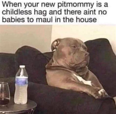 Anti Pitbull Memes Pitbulls Vs Toddlers Know Your Meme