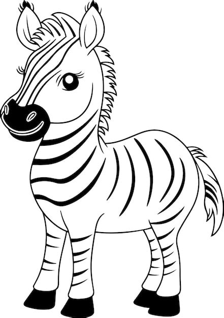 Premium Vector Zebra Vector Illustration Black And White Outline