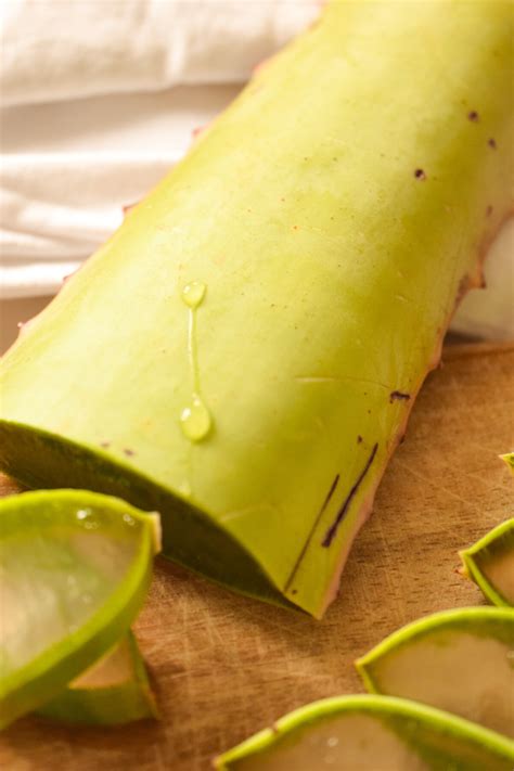 Aloe vera verfügt über eine stark entgiftende wirkung. Aloe Vera - die Wirkung der Beauty und Heilpflanze auf die ...