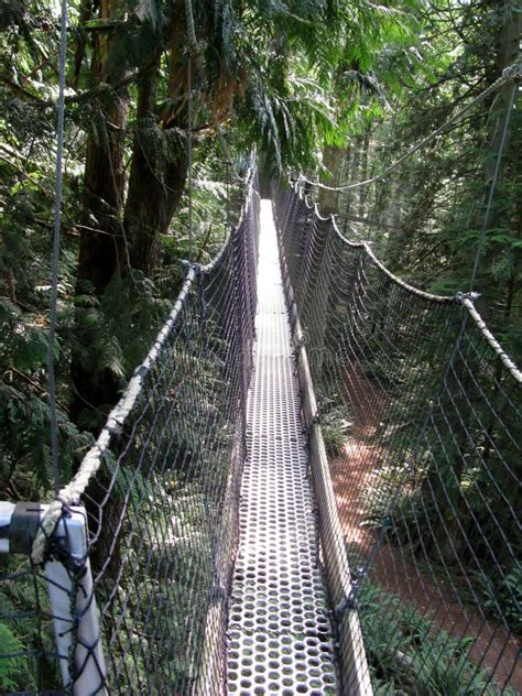 Canopy Bridge Stock Image Image Of Places Florida Nature 64304777