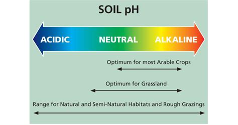 Plant Soil Ph Chart