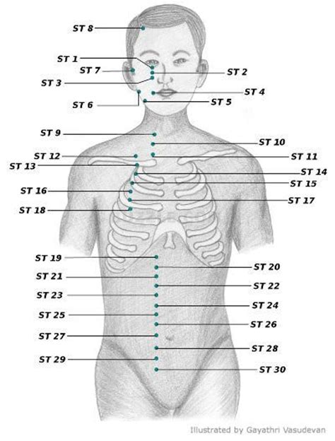 Acupressure Points Chart Acupressure Acupuncture Points And Charts