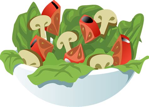 Free Vector Graphic Salad Vegetables Meal Healthy Free Image On