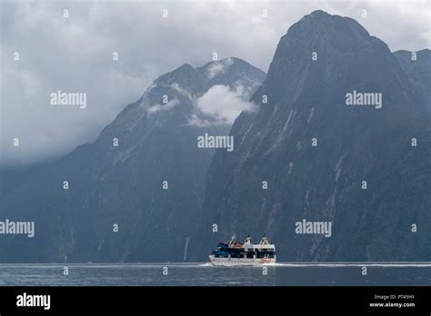 Boat And Mountains In Milford Sound In Summer Fiordland Np Southland