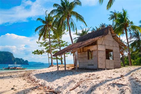 Tropical Island Huts