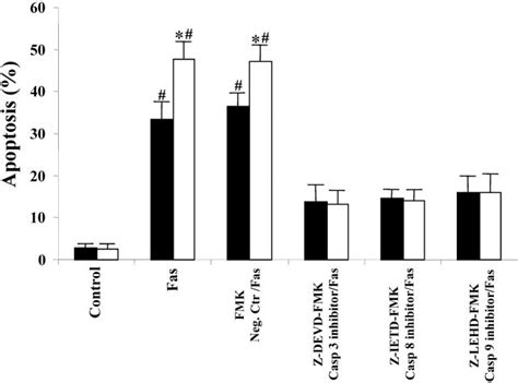 Bioengineering of vein grafts to resist intimal hyperplasia. Inhibition of caspase-3,-8, and-9 abolished the pro ...