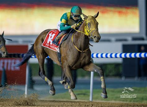 Dubai World Cup Night Entries Released