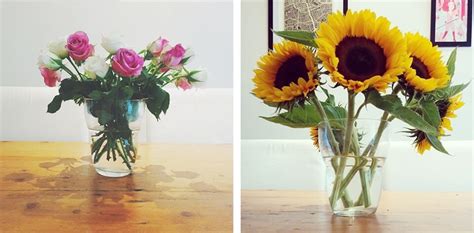 Check spelling or type a new query. My Thoughts: Buy Yourself Flowers, Now. : As the Bird ...