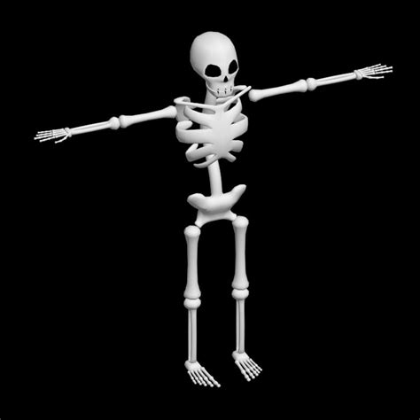 Low Poly Skeleton Poly Skeleton Human Skeleton Catering Menu Menu