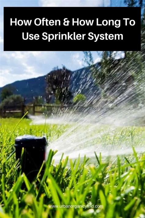 Check spelling or type a new query. How Often & How Long Should I Water My Lawn With Sprinkler System | Lawn sprinkler system, Water ...
