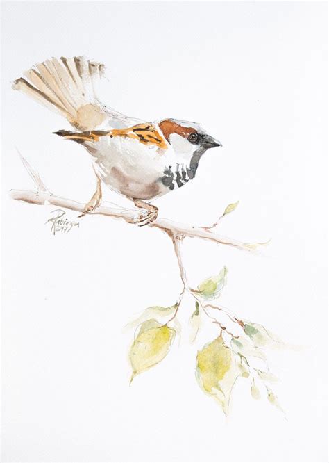 Sparrow Watercolour By Andrzej Rabiega Artfinder Bird Watercolor