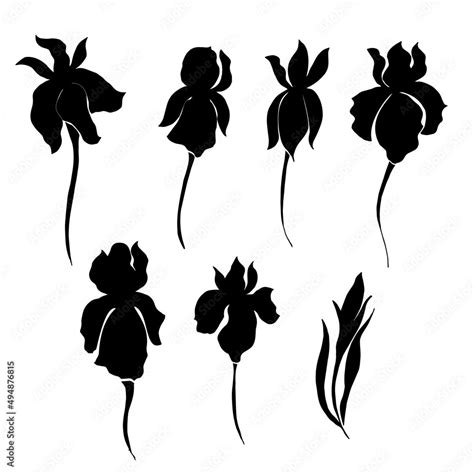 Iris Flower Vector Draving Black Silhouette Stock Vector Adobe Stock