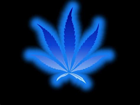 Cool Weed Wallpapers Group 54