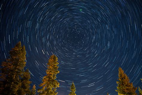 Forest Trees Starry Night Stars Nature 6016x4016 Wallpaper