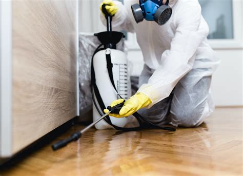 Pest Control Tips 8 Things The Exterminator Wont Tell You For Free