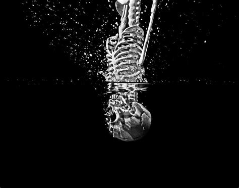 Minimal Skeleton Splash Photograph By Terril Heilman Fine Art America