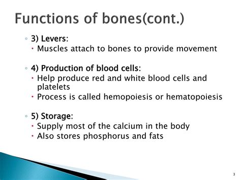 Ppt Chapter 74 Skeletal System Powerpoint Presentation