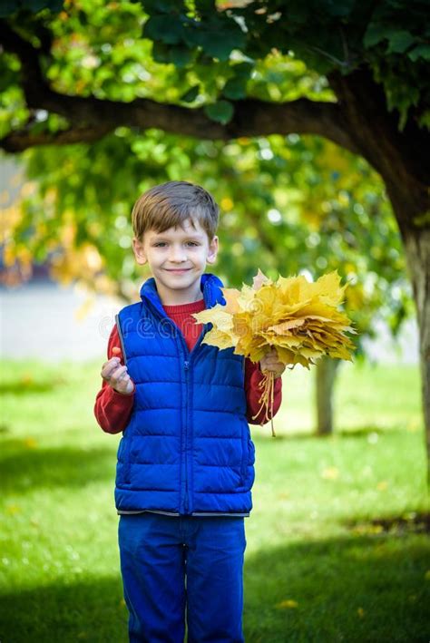 Cute Little Boy Playing In Autumn On Nature Walk Boy Holding Bunch Of