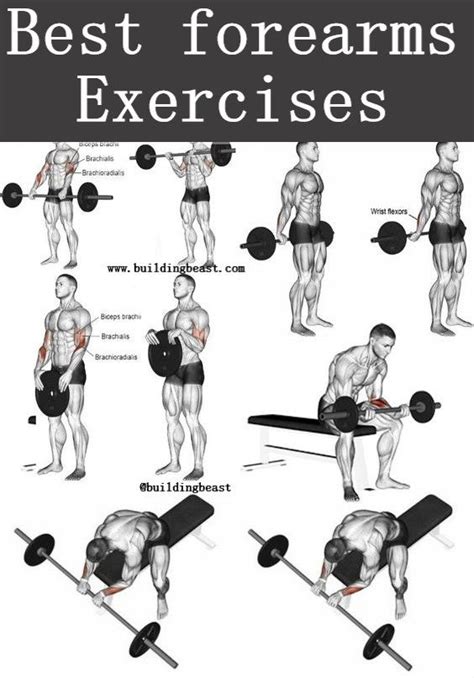 Best Forearms Exercises For Men Artofit