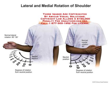Lateral And Medial Rotation Of Shoulder