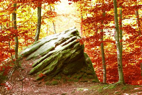 Autumn Forest Rock Free Stock Photo Public Domain Pictures