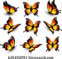 Check spelling or type a new query. Butterfly Position Stock Images | Our Top 428 Butterfly ...