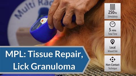 Laser Therapy Protocol Tissue Repair And Lick Granuloma My Pet Laser
