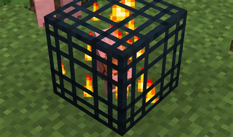 What Is The Rarest Spawner In Minecraft