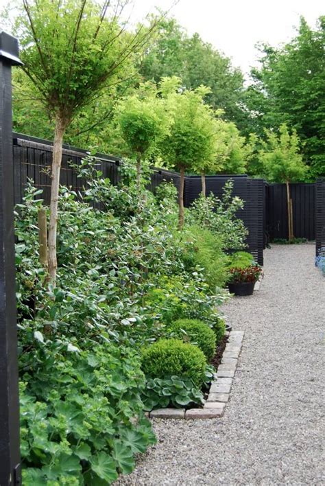 I was extremely sceptical when he was doing it. A black fence
