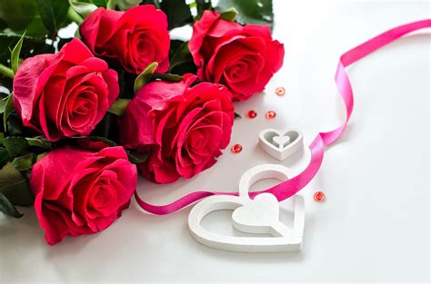 Annahof Laabat Love Rose Wallpaper Video Download