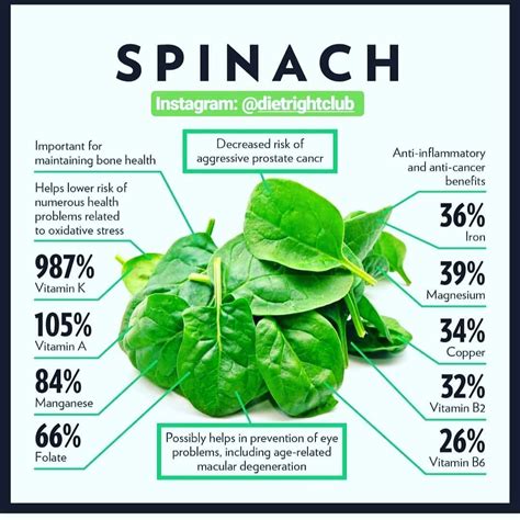 🍃 All About Spinach The Calcium In Spinach Can Help Strengthen Your
