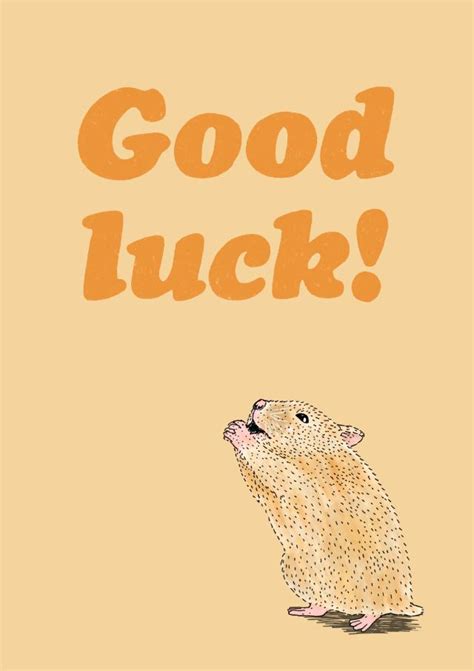 Praying Hamster Good Luck Card Thortful
