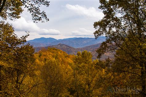 Fall Foliage 2019 Forecast And Guide Blue Ridge Mountain Life