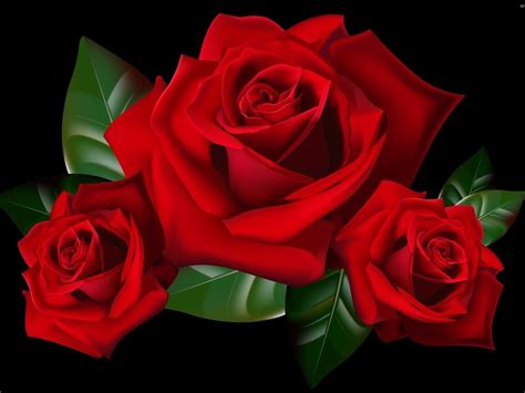 Zdjęcie Piękne Róże
