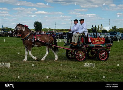 Light Horse Driving Carriage At Chertsey Agricultural Show Stock Photo