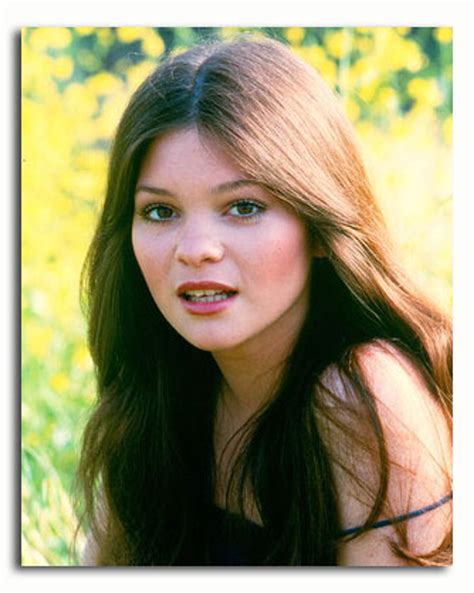 Ss3468660 Movie Picture Of Valerie Bertinelli Buy Celebrity Photos