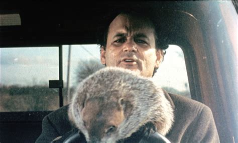 The first official groundhog day celebration took place on february 2, 1887, in punxsutawney, pennsylvania. 'Groundhog Day' (1993) | The 100 Greatest Movies of the ...