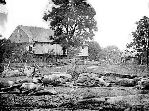 Equestrian Casualties At Gettysburg Emerging Civil War