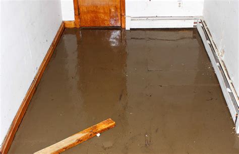 Anytime you have water sitting stagnant in your basement, it can cause considerable damage to the walls the key to recovering from a flood in a basement depends entirely on how you clean up afterwards. What to do when your basement starts flooding l ASAP ...